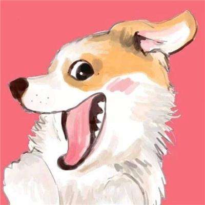 龙魂契约华为版下载