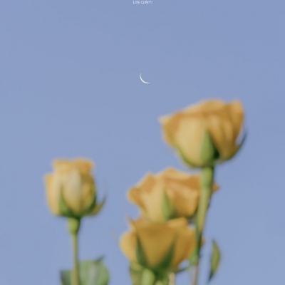 屠神传奇手游(暂未上线)v1.2 官方安卓版