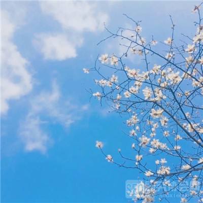 大天使养成记手游下载