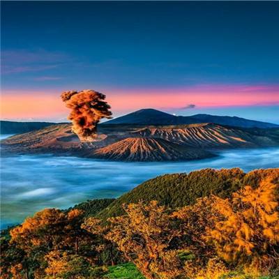 战争伙伴内购破解版下载